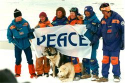antarctique46