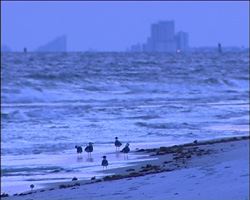 floride10