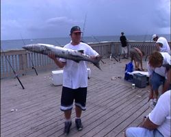 floride31