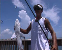 floride32
