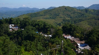 Sulawesi13