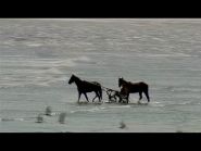 France05