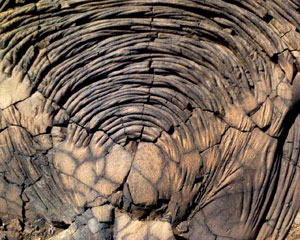 elhierro13