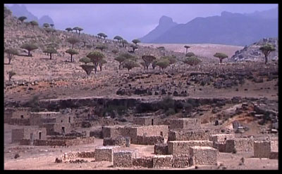Village-Plateau
